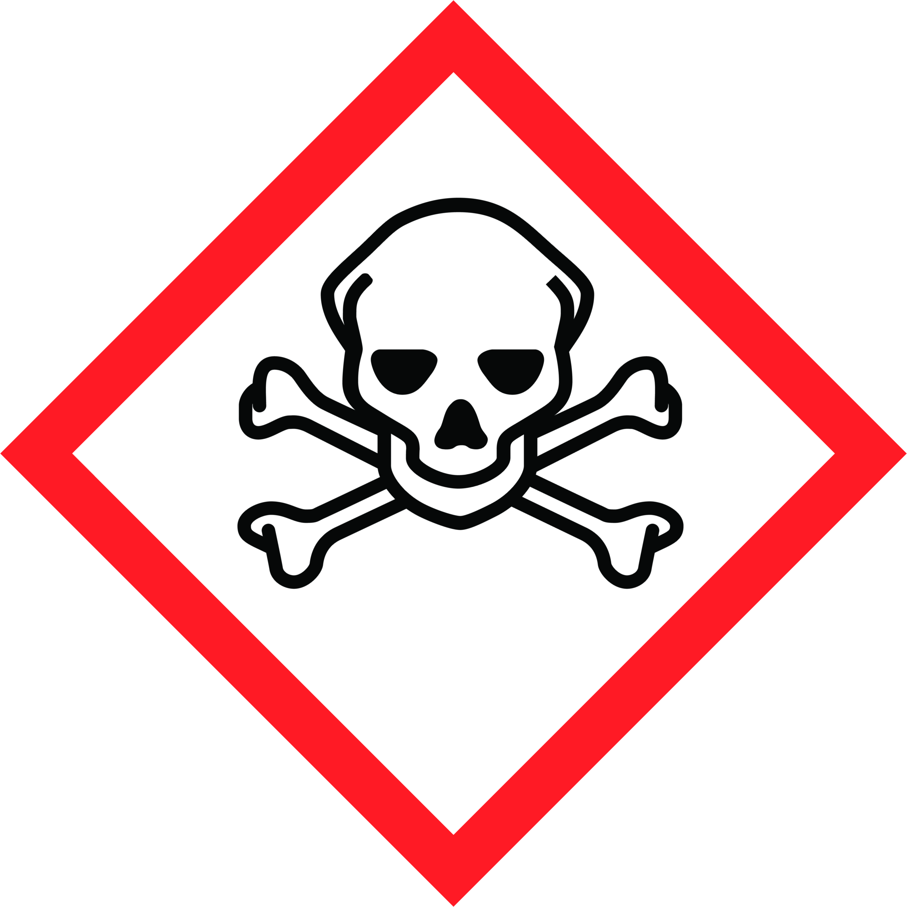 B_DGGHS06