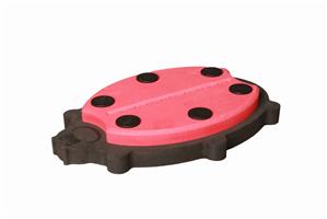 Pooltoy Lady Bug