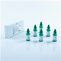 Solution réactive DPD 1 en pack de 6