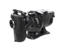 Schwimmbadpumpe Euroswim 200M,selbstansaugend, Innengewinde 2", 30m³/h bei 10m, 230V, P1 - 1,9kW, P2