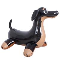 Swimrider Hund